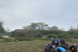 교동면 동산리 마을회, 우리마을 봄꽃 심어 꽃동산 조성