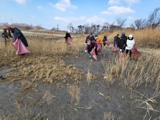 교동면 지역사회보장협의체, 해안쓰레기 수거 총력