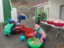 하점면 새마을부녀회, 반찬 나눔 봉사 펼쳐