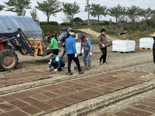 불은면 주민자치委, 못자리 모판 작업 실시