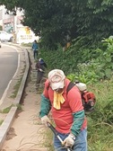 불은면 주민자치위원회, 여름 맞이 도로변 제초