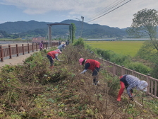 화도면 장화1리 부녀회, 산뜻한 나들길 조성