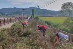 화도면 장화1리 부녀회, 산뜻한 나들길 조성