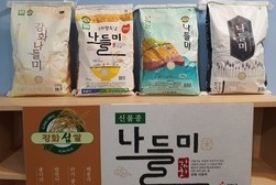 한국인은 밥심! 밥맛 좋은 강화섬쌀 나들미 본격 출하