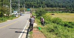 선원면 이장단, 추석맞이 대로변 제초 작업 실시