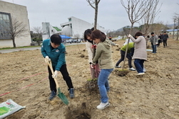 강화군, 제79회 식목일 나무 심기 행사