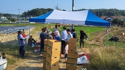 선원면 주민자치위원회, 감자 수확의 기쁨을 이웃과 함께
