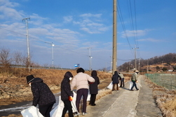 양도면 주민자치委, 설맞이 환경정화 활동