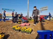 교동면 이장단, 봄맞이 화단 꽃심기 나서