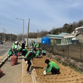 교동면 새마을 남여지도자, “꽃길 보며 힐링하세요”