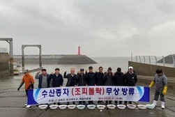 강화도 해역 자원 확충을 위한 조피볼락 치어 44만 마리 방류
