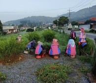 양도면 생활개선회, 인산2리 일원 화단 정비