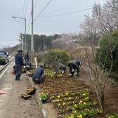 교동면 체육진흥후원회, 봄꽃 식재로 파릇한 봄기운 알려