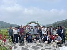  양사면 노인회, 장마철 대비 도로변 정비 