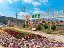 불은면, 면내 화단 봄맞이 꽃 식재