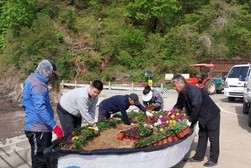 삼산면 미법리‘ 꽃을 담은 나룻배 ’출항하다