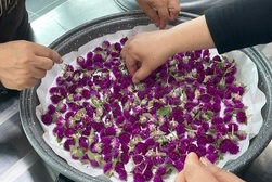 강화군 행복센터, 향기로운 가을을 즐기기 위한 다채로운 특강 