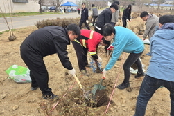 강화군, 제79회 식목일 나무 심기 행사